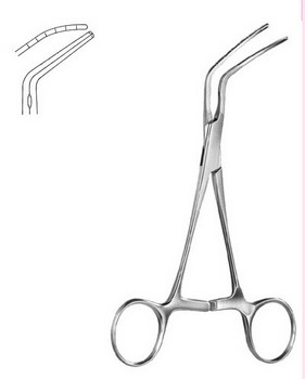 Cardiovascular Surgery  